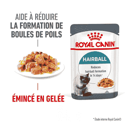 Hairball Care Jelly - Sachet
