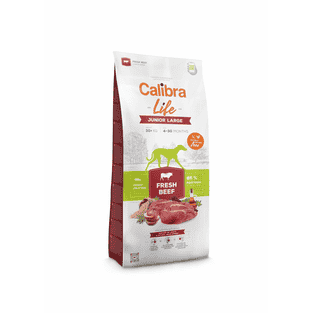 Life Junior Large Fresh Beef