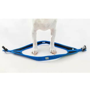 Harnais pour chien Fast-Fit bleu