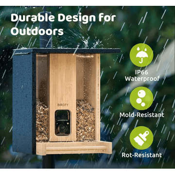 Birdfy Feeder Bamboo - Birdhouse with camera