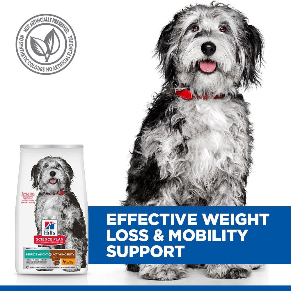 Canine Perfect Weight + Active Mobility Medium Breed