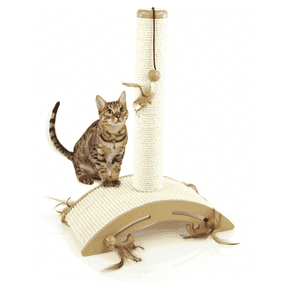 Station de jeux pour chats Zonga