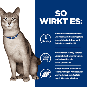Feline k/d Kidney Care Salmon (vorher: Tuna)