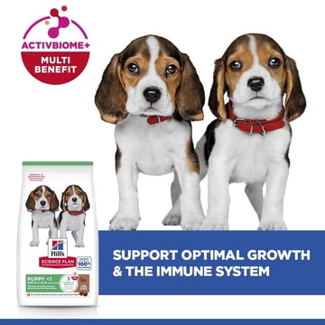 Puppy Medium Breed Lamb & Rice
