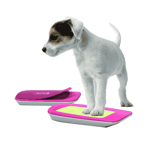 PawCare pour des pattes propores