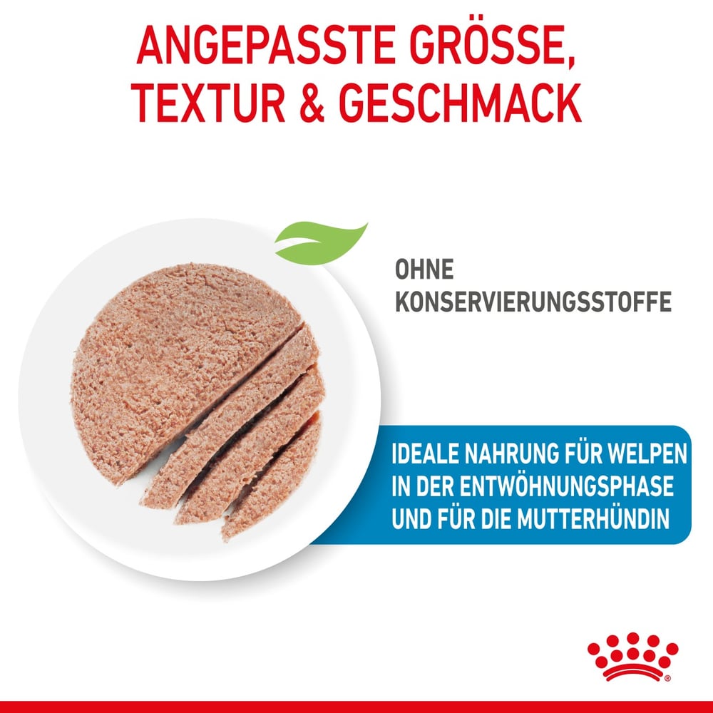 Starter Mousse Mother&Babies - Dose