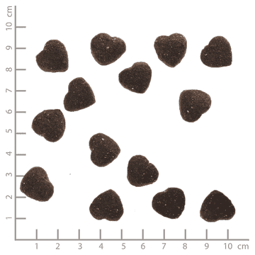 Wild Duck Squashies Small Breed