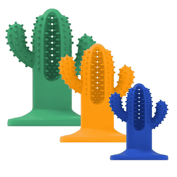 Dental Chew Cactus Rubber