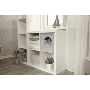 Kuschelhöhle Anton