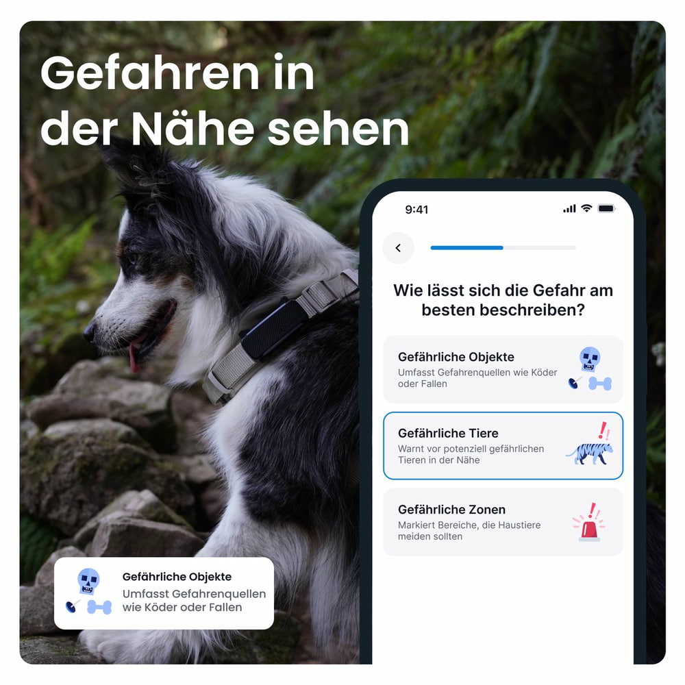DOG 6 Tracker