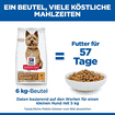 Canine Adult Healthy Mobility Small + Mini Breed