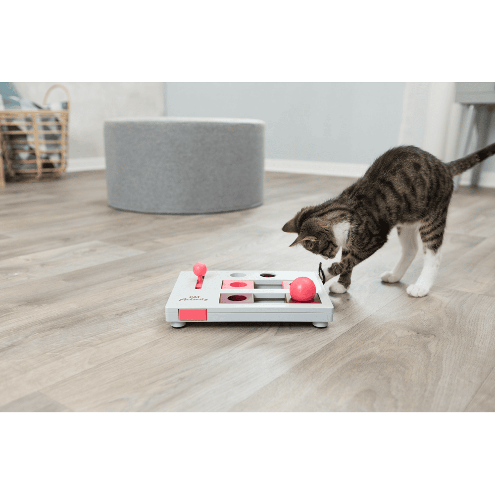 Cat Activity Brain Mover