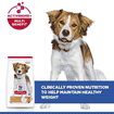Canine Adult Light Medium Breed