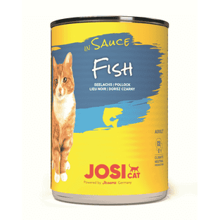 JosiCat Fish in Sauce