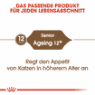 Ageing 12+