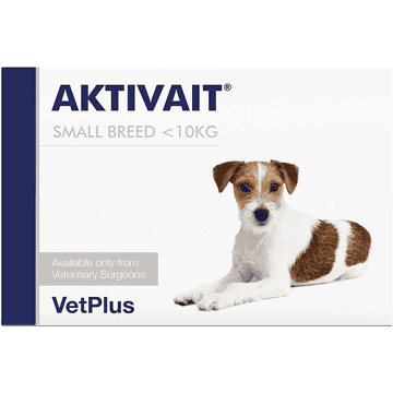 AKTIVAIT