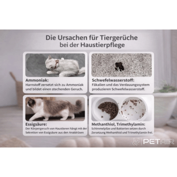 Air Purifier for Pet Owners MP1-P