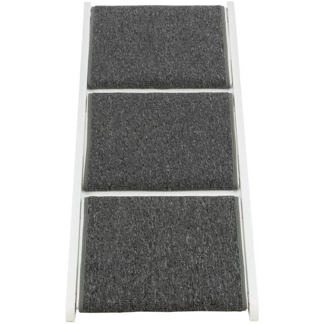 Ramp with fold-out steps