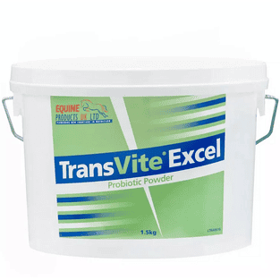 TransVite Excel