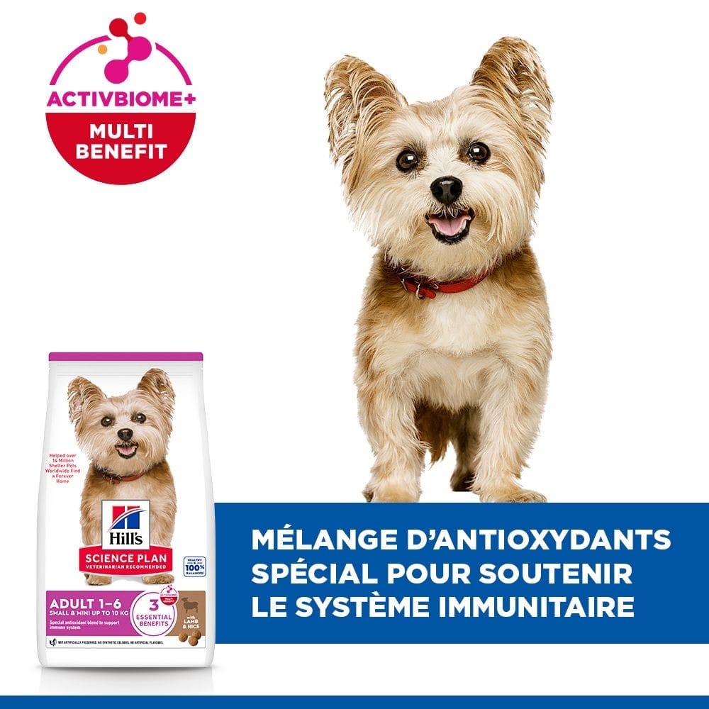 Canine Adult Small+Mini Breed Agneau &amp; Riz