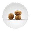 Balance