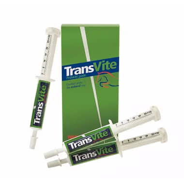 TransVite Paste