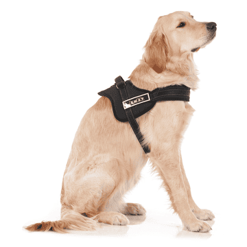 S.W.A.T harness for dogs
