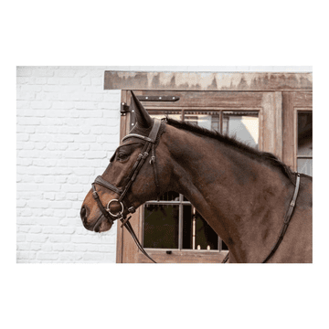 Wellington Soundless Fly Veil