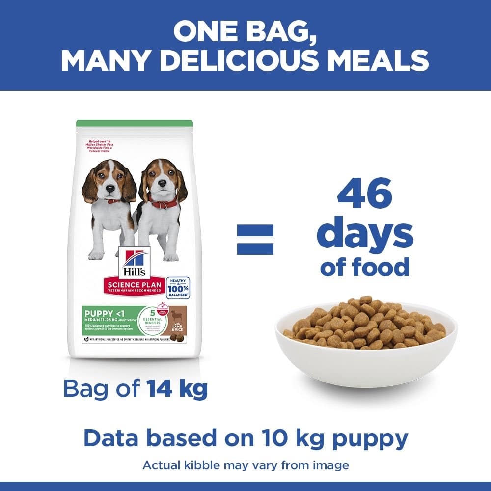 Puppy Medium Breed Lamb & Rice