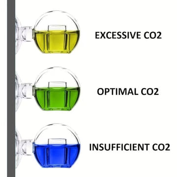 Carbo Test Precision Medium CO2 Langzeittest