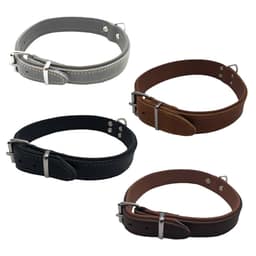Collier en cuir souple doublé avec anneau pour laisse riveté