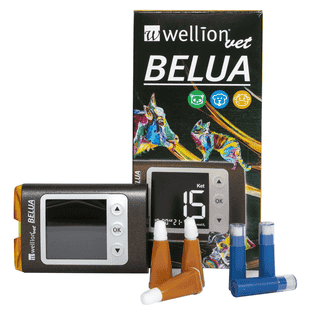 Belua