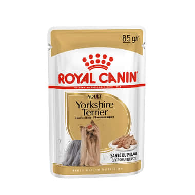 Yorkshire Terrier - sachet