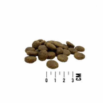 DOG Mono Rind