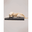 Matelas orthopédique pour chiens Chill Charcoal