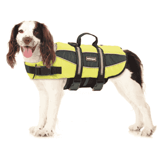 Gilet de sécurité S1