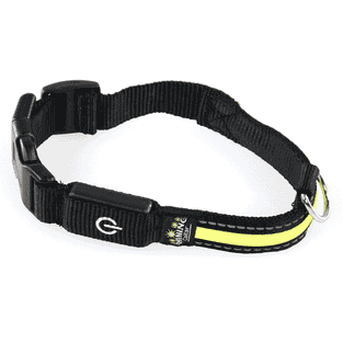 swisspet Fluo Leuchthalsband