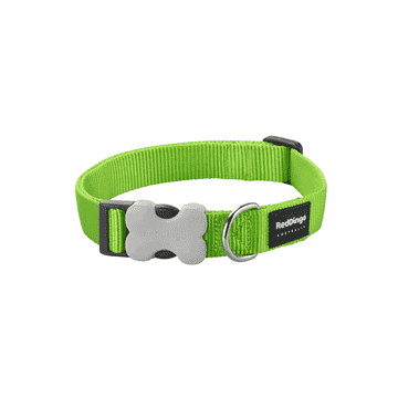 Collier Plain Classic Lime Green