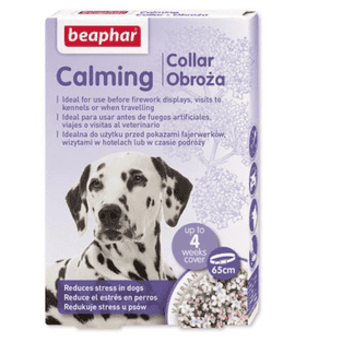 Calming Collar für Hunde