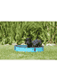 Piscine pour chiens