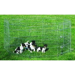 Enclos pour chiots galvanisé