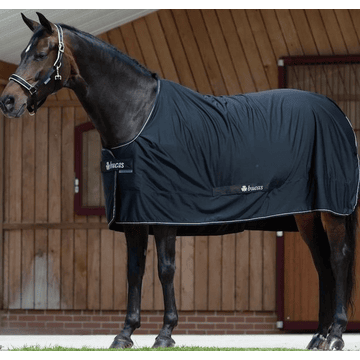 Shamrock Power sweat rug