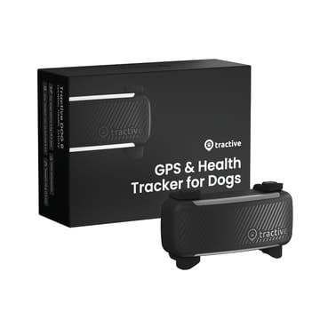 DOG 6 Tracker