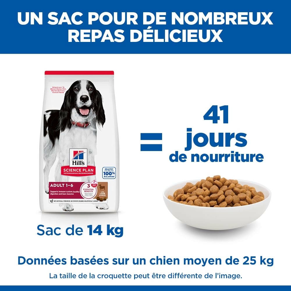 Canine Adult Medium Breed Lamb & Rice