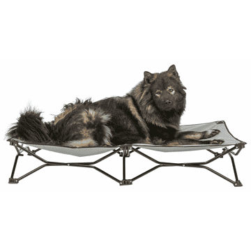 Camping-Bett Strong Edition beige/schwarz