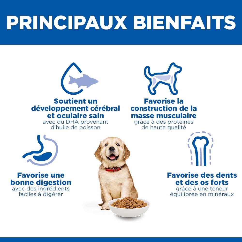 Puppy Large Breed