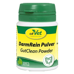 DarmRein Pulver
