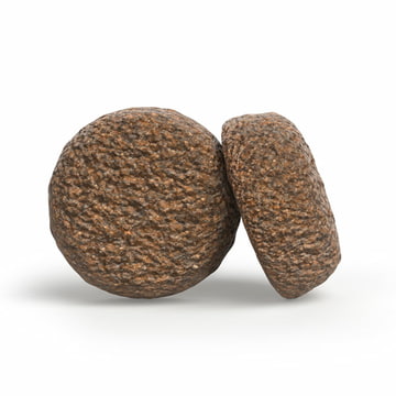 Adult Active Nature