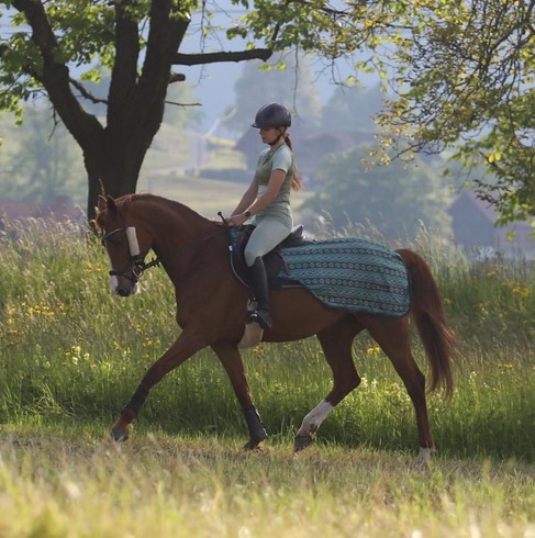 Riding fly rug Summer Stroll - green