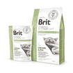 Vet Diet - Cat Diabetes